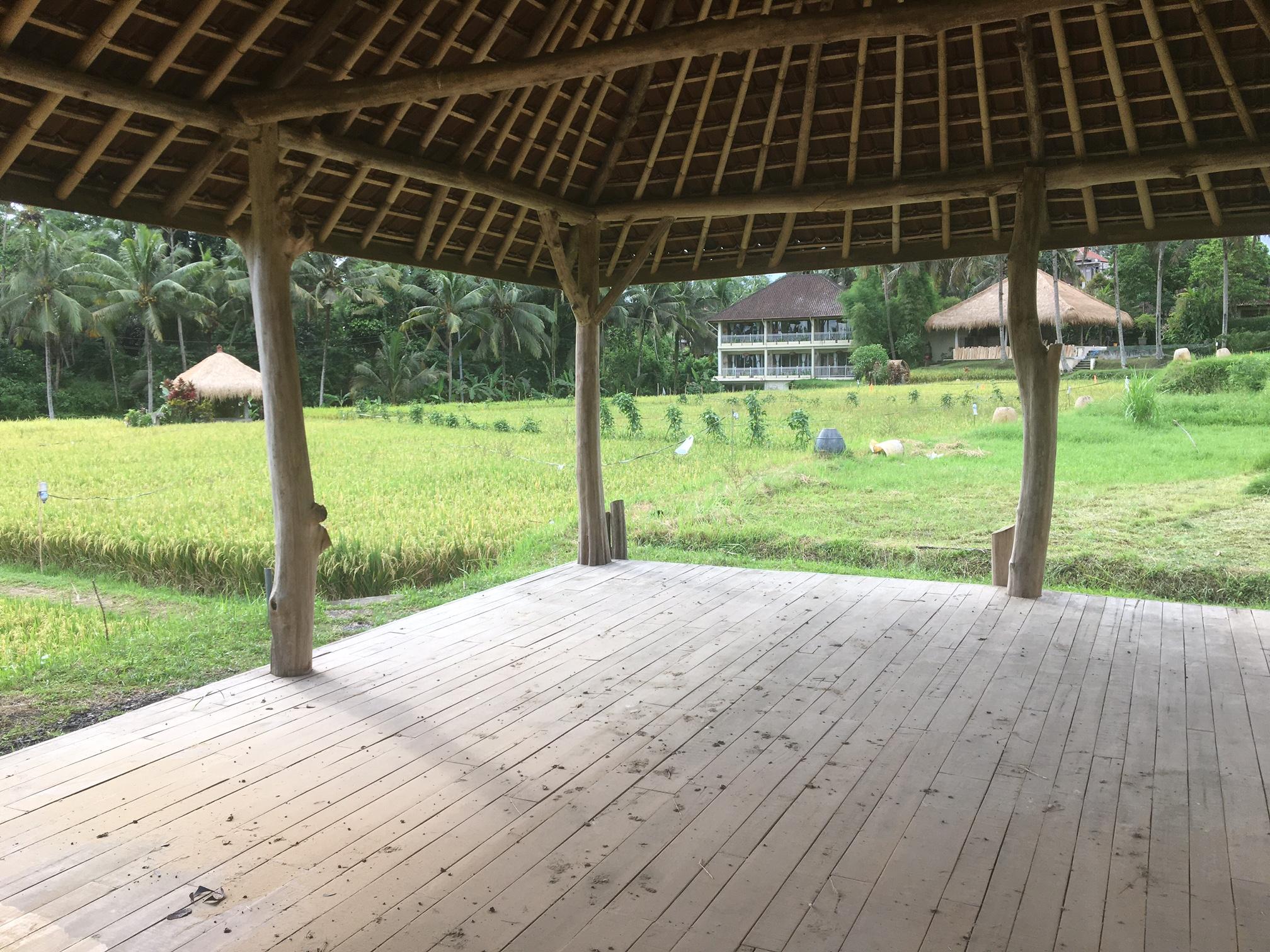 Mathis Retreat Ubud Exterior photo