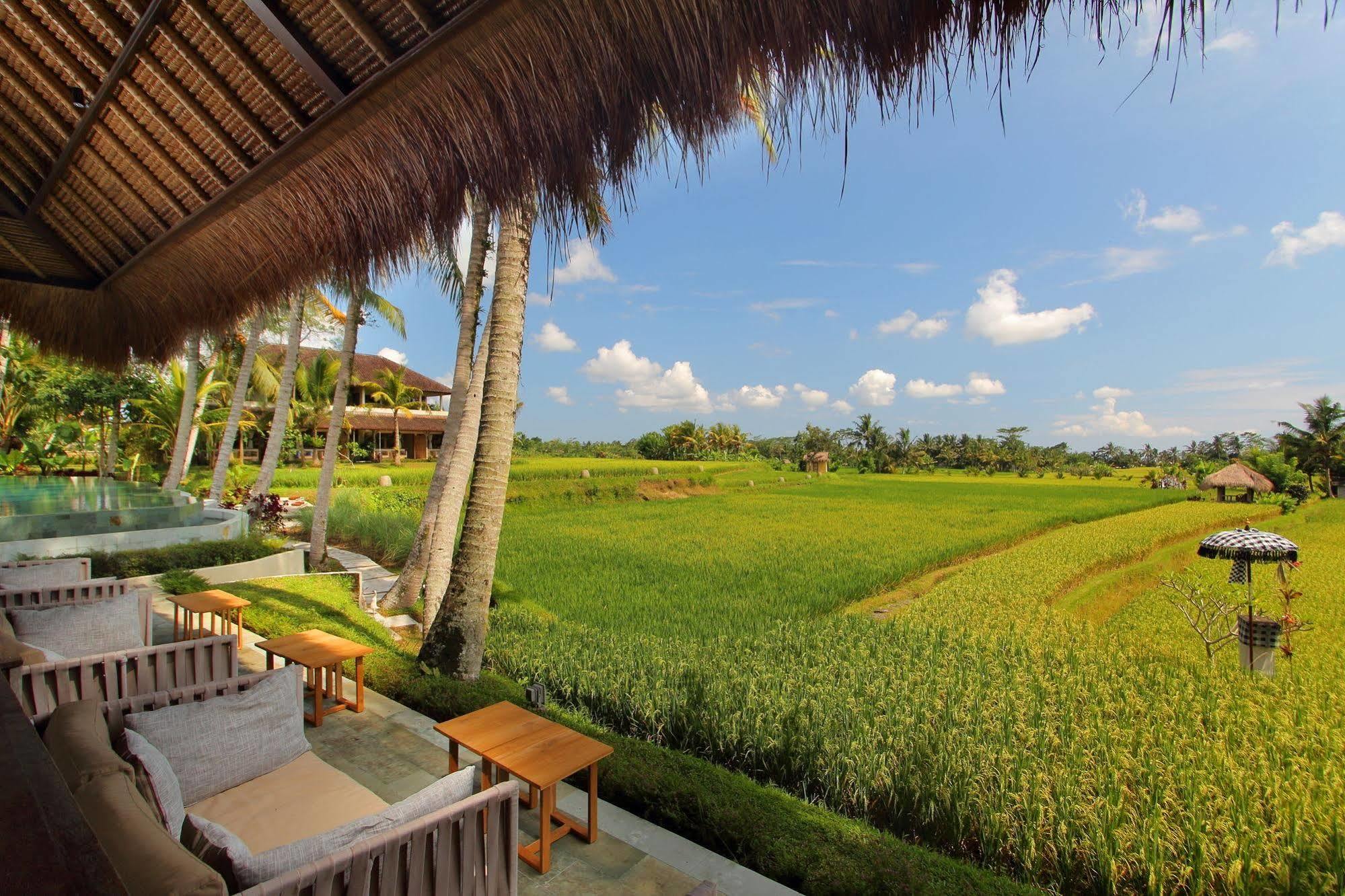 Mathis Retreat Ubud Exterior photo